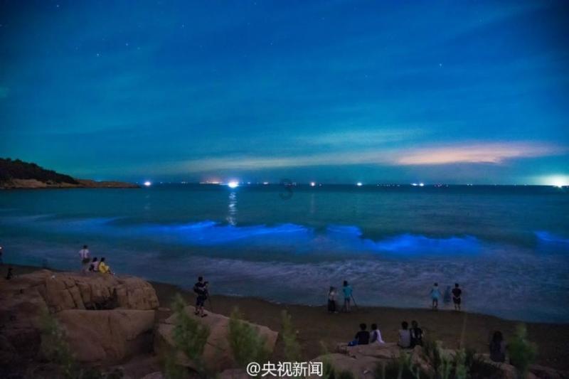 精彩乒乓球赛